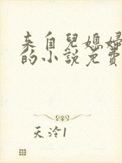 来自儿媳妇的爱的小说免费阅读