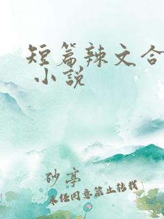 短篇辣文合集. 小说