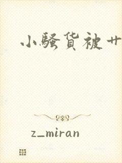 小骚货被艹小说