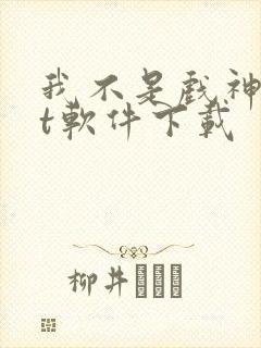 我不是戏神txt软件下载