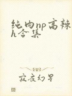 纯肉np高辣文h合集