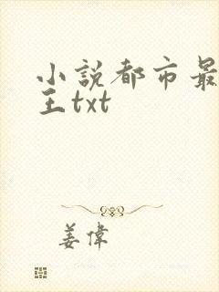 小说都市最强兵王txt