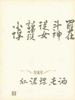 小说从斗罗开始俘获女神在线阅读