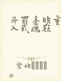 斗罗秦明重生加入武魂殿