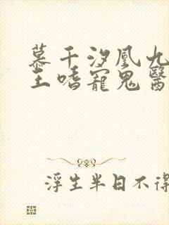 慕千汐凰九夜邪王嗜宠鬼医狂妃