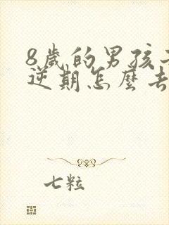 8岁的男孩子叛逆期怎么去引导