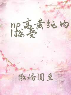 np高黄纯肉bl总受
