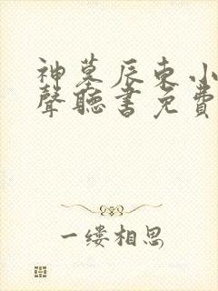 神墓辰东小说有声听书免费