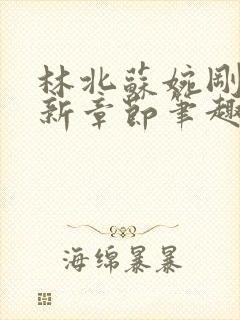 林北苏婉刚刚更新章节笔趣阁