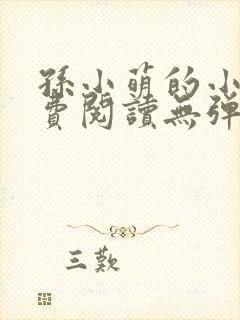 孙小萌的小说免费阅读无弹窗