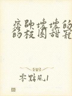 痞帅坏坏的校霸的校园甜宠文