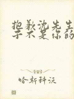 抱歉沈先生,孩子不是你的短剧全集