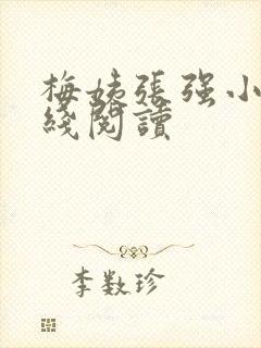 梅姨张强小说在线阅读