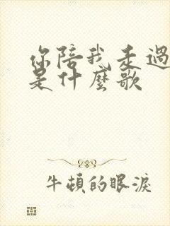 你陪我走过风雨是什么歌