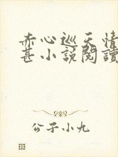 赤心巡天情何以甚小说阅读版