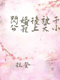 闪婚后被千亿老公宠上天小说