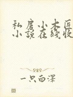 私房小木匠有声小说在线收听免费