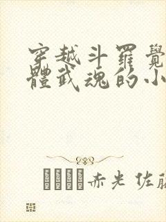 穿越斗罗觉醒本体武魂的小说