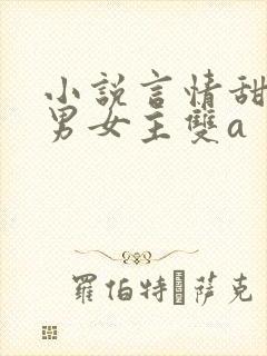 小说言情甜宠文男女主双a