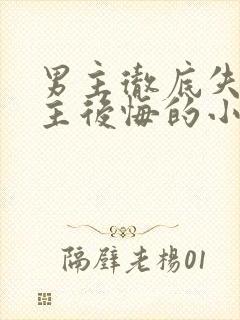 男主彻底失去女主后悔的小说