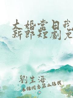 大婚当日我换了新郎短剧免费观看