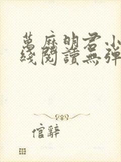 万历明君小说在线阅读无弹窗