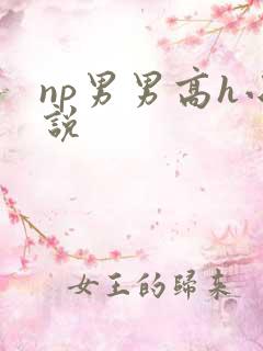 np男男高h小说