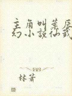 主角叫叶辰的玄幻小说仙武帝尊