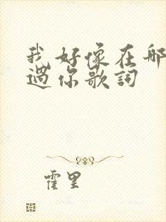 我好像在哪儿见过你歌词