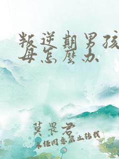 叛逆期男孩骂父母怎么办