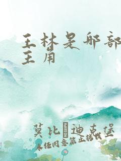 王林是哪部小说主角