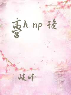 高h np 后宫