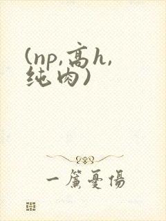 (np,高h,纯肉)