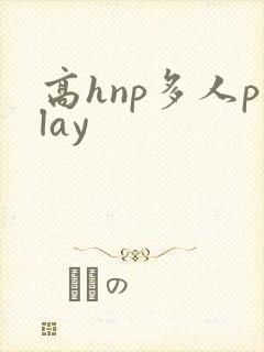 高hnp多人play