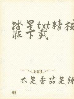 踏星txt精校版下载