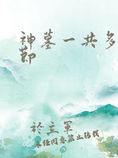 神墓一共多少章节