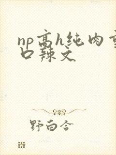 np高h纯肉重口辣文