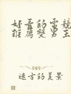 好看的电竞小说推荐双男主