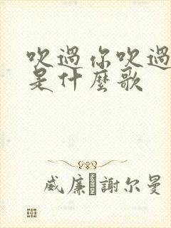 吹过你吹过的风是什么歌