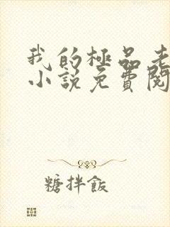 我的极品老婆 小说免费阅读