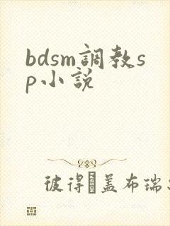 bdsm调教sp小说