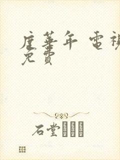 度华年 电视剧免费