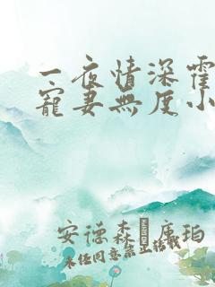 一夜情深霍先生宠妻无度小说