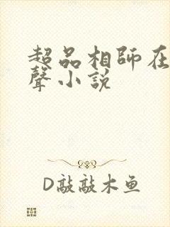 超品相师在线有声小说