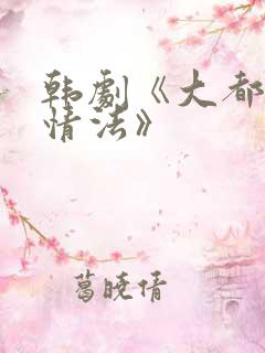 韩剧《大都市爱情法》