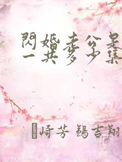 闪婚老公是豪门一共多少集