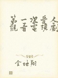 第一次爱人免费观看电视剧全集高清