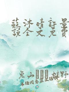 苏沐晴许景辰小说全文免费阅读