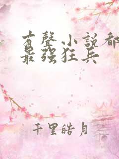 有声小说都市之最强狂兵