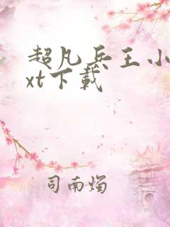 超凡兵王小说txt下载